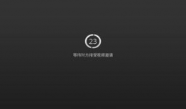 np视频,揭秘其独特魅力与精彩瞬间