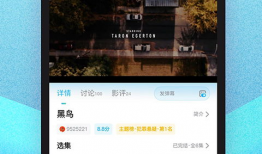 视频在线观看网站,在线观影新体验一览