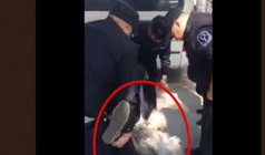 打视频,一窥视频背后的精彩瞬间