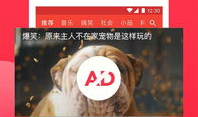 西瓜视频官方网站,探索短视频新天地，畅享海量精彩内容