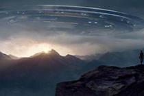 大牛视频,揭秘行业精英的智慧火花